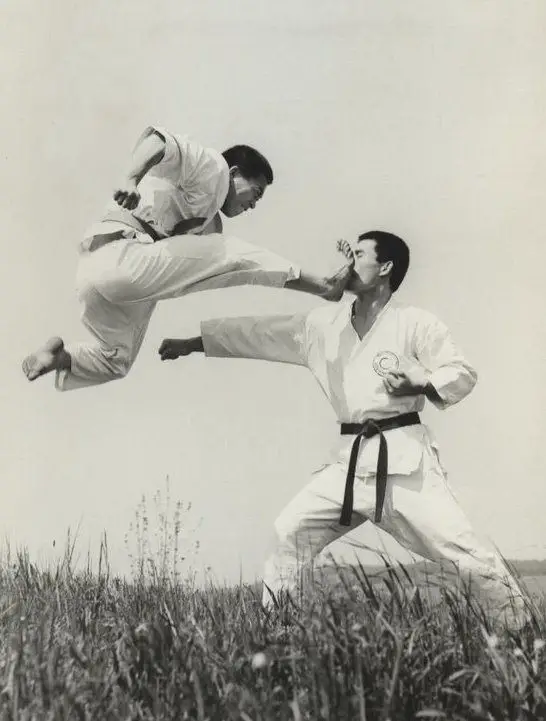 What's the difference between Shotokan and Kyokushin Karate? - BudoDragon
