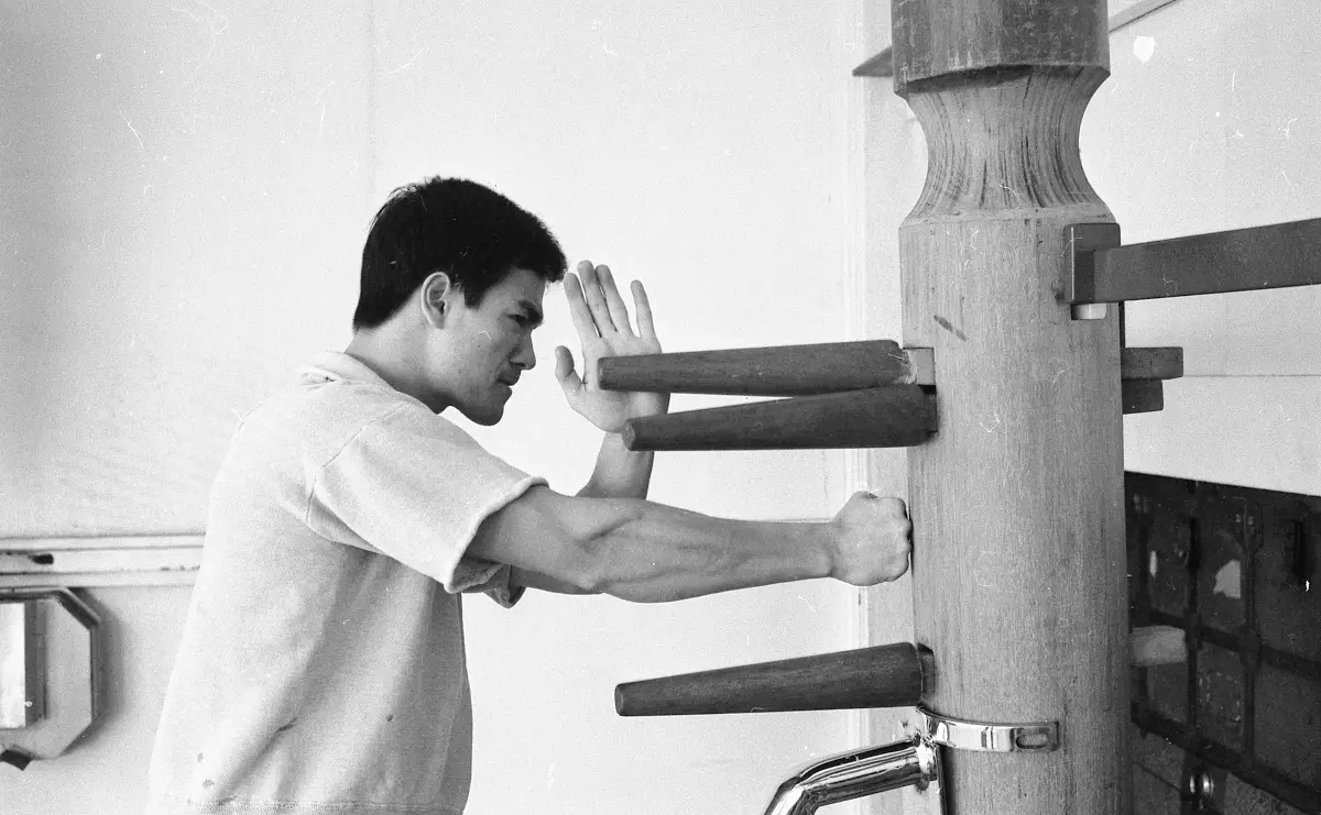 The best Wing Chun dummies to train & practice on BudoDragon