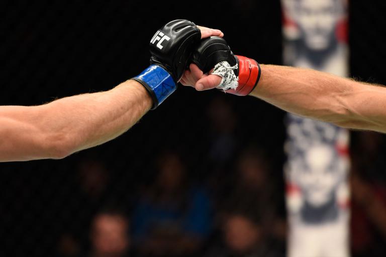Why Do UFC Fighters Touch Gloves BudoDragon