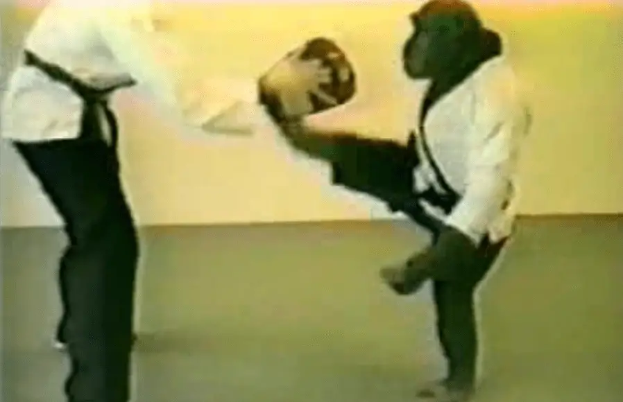Apes CAN Be Taught Martial Arts Charlie The Karate Chimp BudoDragon